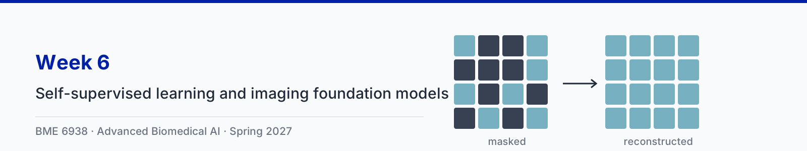 Week 6: Self-supervised learning and imaging foundation models